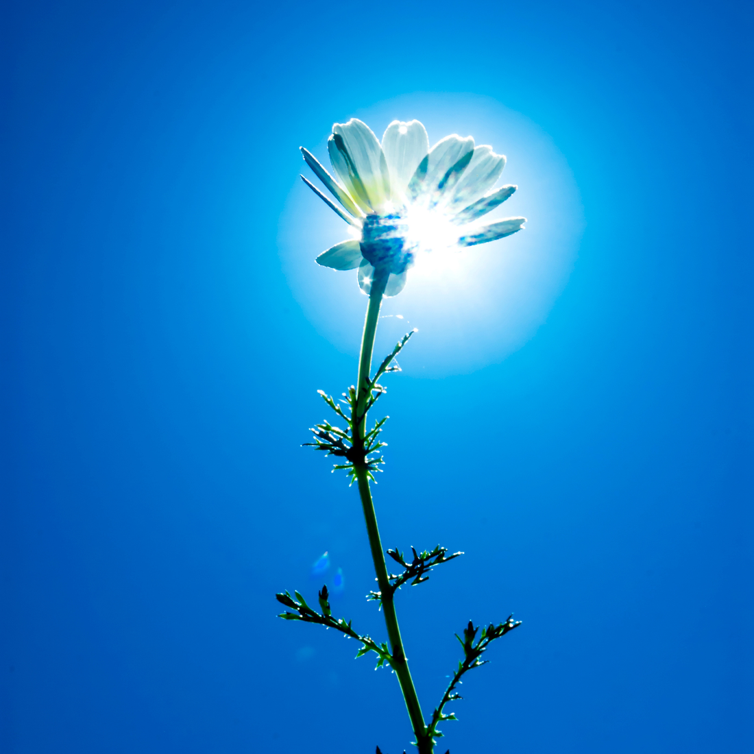 ⭐ Micro Essay: Do the Math